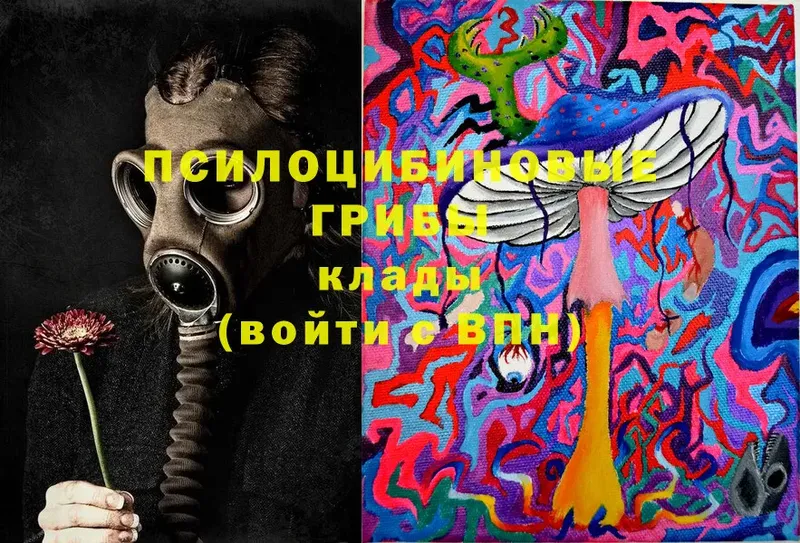 Псилоцибиновые грибы ЛСД  купить   Томск 